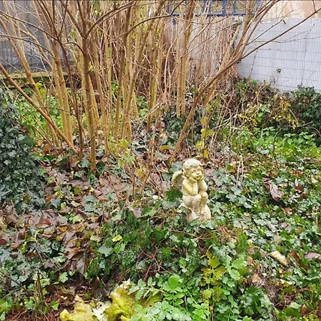 Tres Bel Avec Son Jardin Et Jacuzzi En Plein Centre De Апартаменты