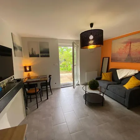 Апартаменты Tres Bel Avec Son Jardin Et Jacuzzi En Plein Centre De Нанси