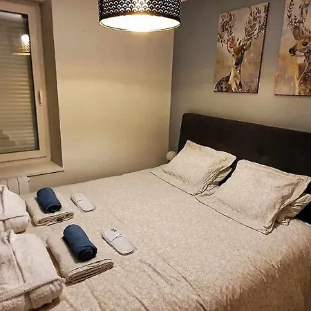 Tres Bel Avec Son Jardin Et Jacuzzi En Plein Centre De Нанси